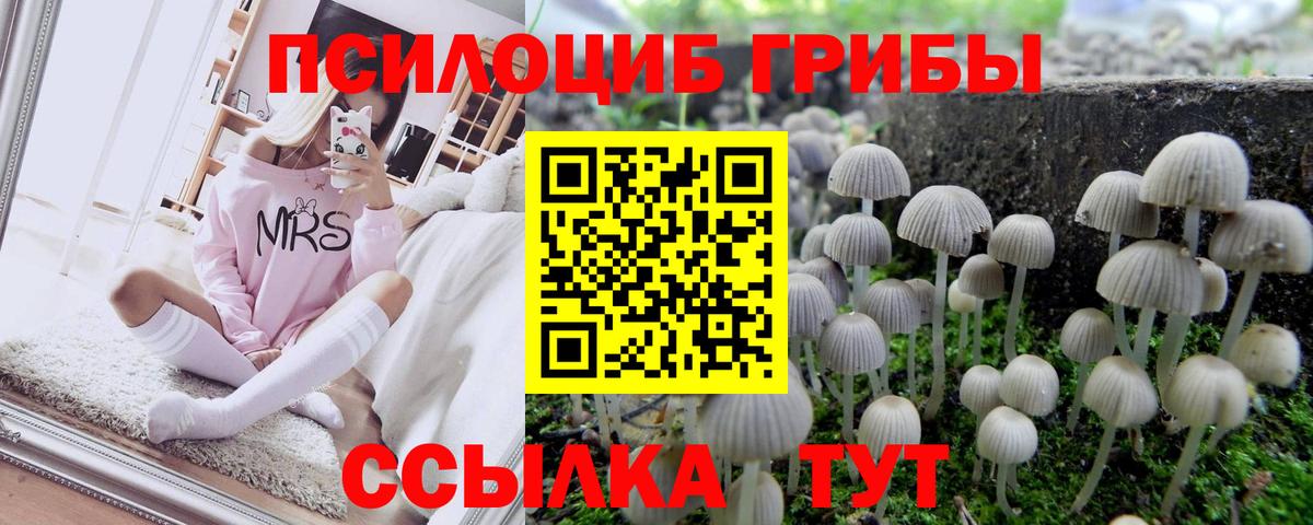 Псилоцибиновые грибы GOLDEN TEACHER  Вход с VPN  Новошахтинск 